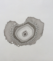 Sumi Experiment: Untitled, 2012