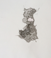 Sumi Experiment: Untitled, 2012
