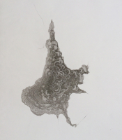 Sumi Experiment: Untitled, 2012