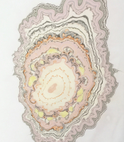 Slices of the Universe: "Lady Luck's Universe II", 2017