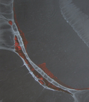 Composition Red and White Series: Untitled #3, 2009