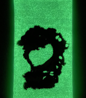 Etherial Landscape Series #6 glow, 2020