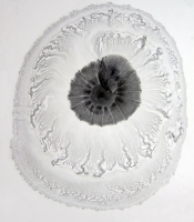 Radiolarians Series: Untitled #1, 2011
