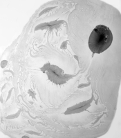 Radiolarians Series: Untitled #16, 2011
