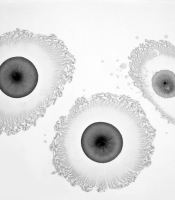 Radiolarians Series: Untitled #5, 2011