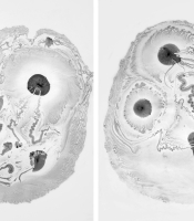 Radiolarians Series: Untitled diptych #19, 2011