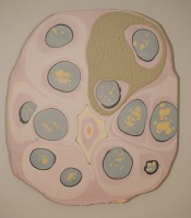 Body of Work Series: Cell V, 2008