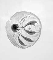 Radiolarians Series: Untitled #8, 2011