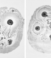 Radiolarians Series: Untitled diptych #19, 2011