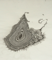 Sumi Experiment: Oh my line!...,2012