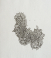 Sumi Experiment: Untitled, 2012