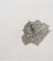 Sumi Experiment: Untitled, 2012