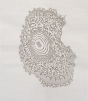 Sumi Experiment: Untitled, 2012