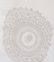Sumi Experiment: Untitled, 2012