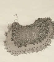 Sumi Experiment: Untitled, 2012