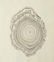 Sumi Experiment: Untitled, 2012