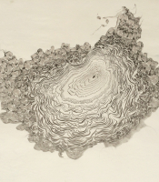Sumi Experiment: Untitled, 2012