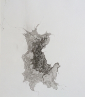 Sumi Experiment: Untitled, 2012