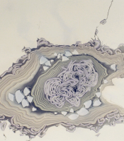Suimonga: Untitled#18, 2013-14
