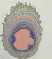 Suimonga monotype: Untitled#8, 2015